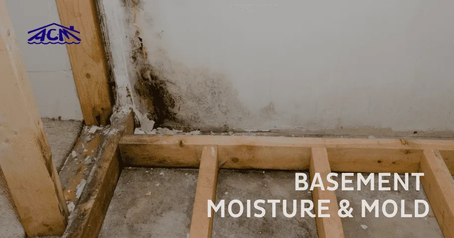 ACM Basement Moisture & Mold Repair in Long Island