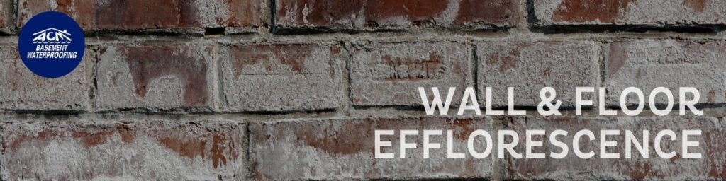 Long Island basement wall and floor efflorescence solutions