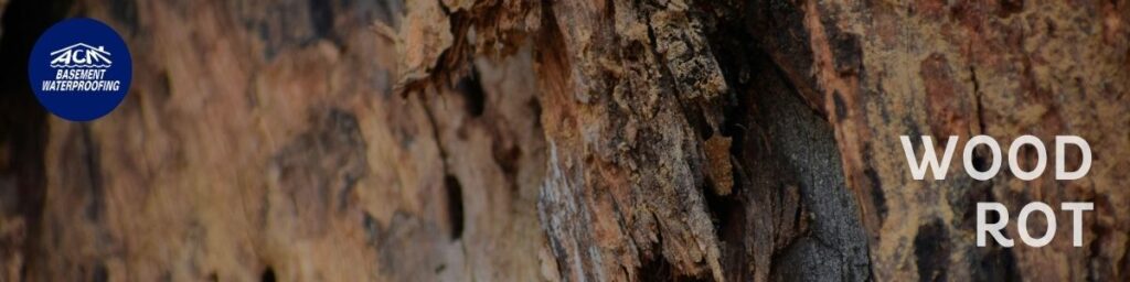 Long Island Basement wood rot solutions