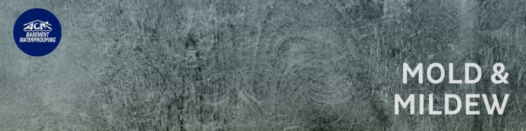 Long Island Mold and mildew solutions for basements