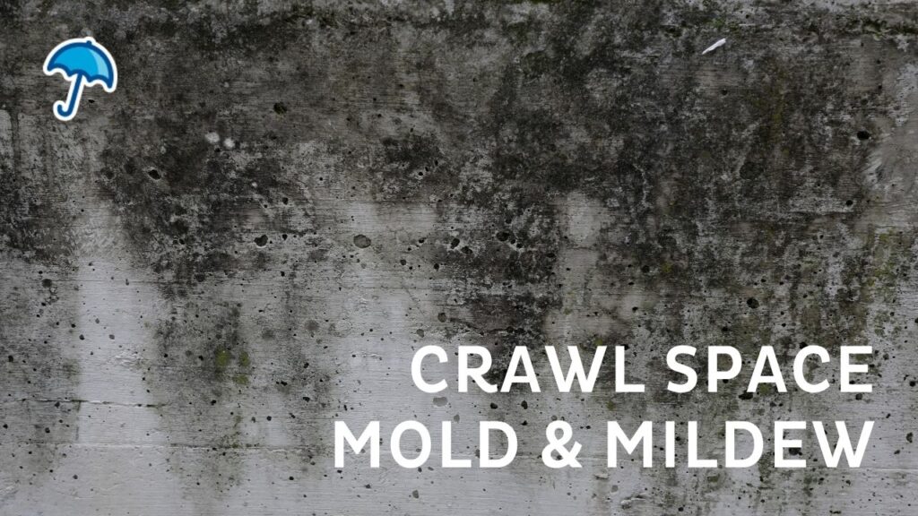 Repair and prevent crawl space mold and mildew in Long Island