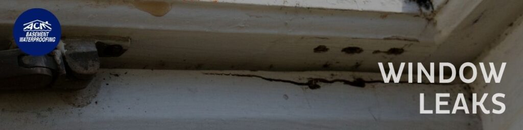 Long Island crawl space window leak fixes