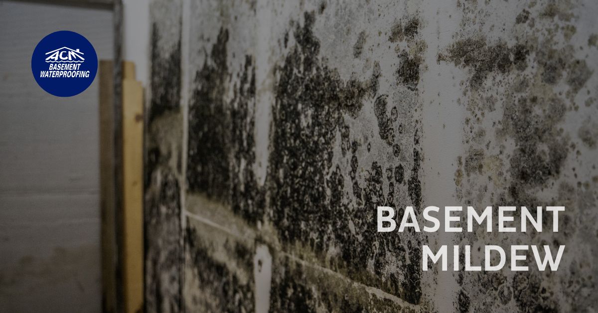 Long Island musty basement smell solution