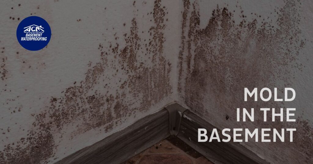 Long Island musty basement smell repair