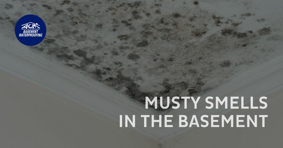 Long Island solutions to musty basement smells