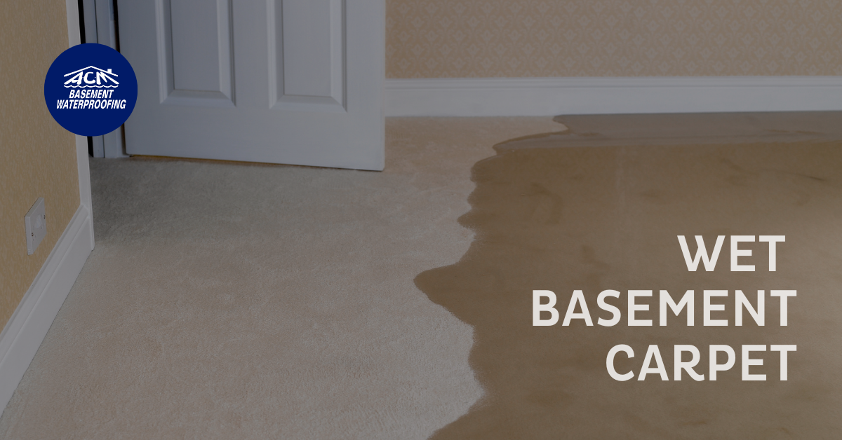 Long Island wet basement carpet repair and prevention