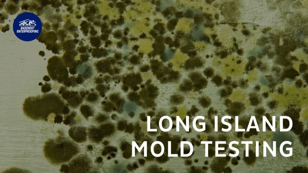 Long Island basement mold testing company