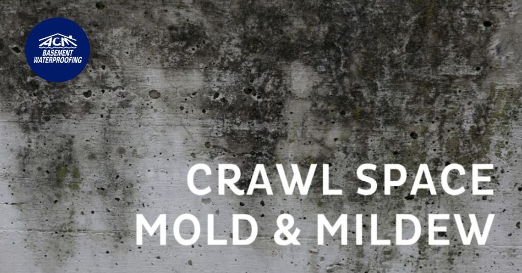 Long Island crawl space mold and midlew repair